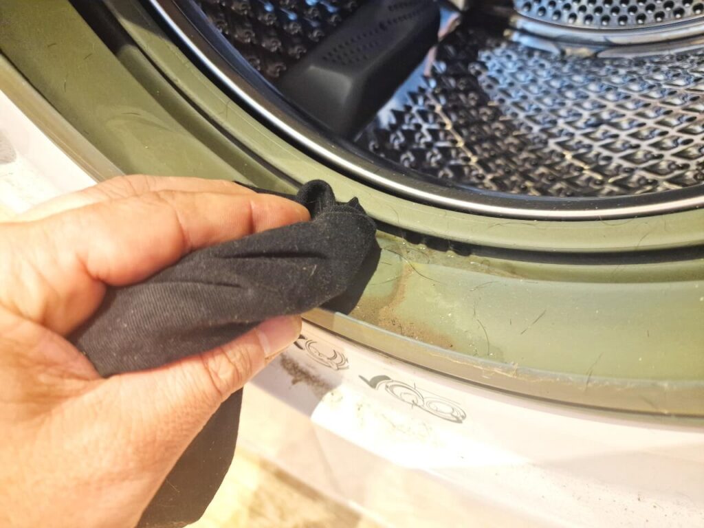 Dirty washing machine door seal being cleaned
